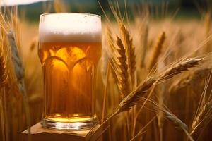 Glass of light wheat beer in the ears of wheat. . photo