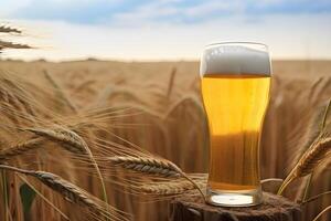 Glass of light wheat beer in the field among wheat ears with copy space. . photo