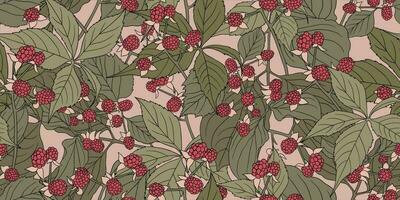 Vintage pattern with ripe raspberry bush on beige background. Berry with leaves vector