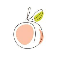 Peach one line drawing art style. Vector illustration isolated on white background. One continuous line drawing style fruit