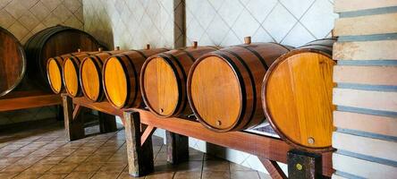 wine bottles in artisanal winery photo