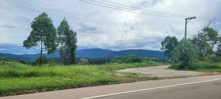 beautiful road with forest around photo