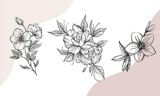 Floral background minimalist concept, abstract background vector illustration