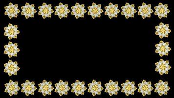 beautiful flower Floral frame Background transparent background with an alpha channel. video