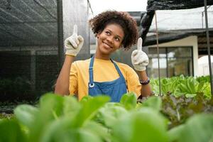 Portrait of happy half Thai half African woman farmer standing behind vegetable plot in her backyard. Concept of agriculture organic for health, Vegan food and Small business. photo