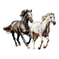 running horse isolated on background with png