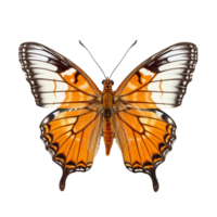 borboleta isolado em fundo com generativo ai png