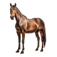 caballo aislado en antecedentes con generativo ai png