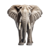 l'éléphant isolé sur Contexte avec génératif ai png