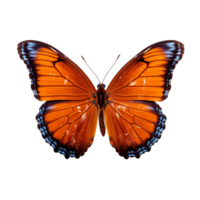 borboleta isolado em fundo com generativo ai png