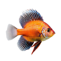 tropical peixe isolado em fundo com generativo ai png