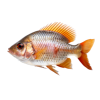 tropical peixe isolado em fundo com generativo ai png