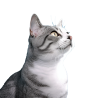 gato isolado em fundo com generativo ai png