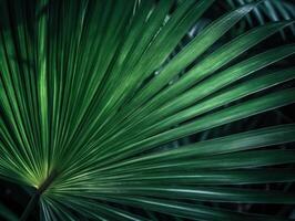 Beautiful green palm leaves background. Tropical nature concept. Selective focus. Created with technology. photo