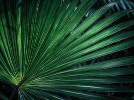 hermosa verde palma hojas antecedentes. tropical naturaleza concepto. selectivo enfocar. creado con generativo ai tecnología. foto