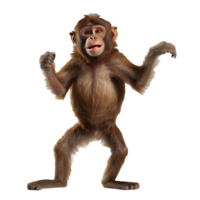 feliz macaco isolado em fundo com generativo ai png