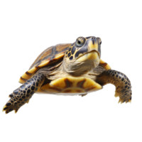 Tortuga aislado en antecedentes con generativo ai png