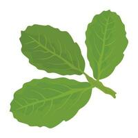 Thick leaves with uneven corners and veins inside, attached to a single branch, an icon for basil leaves vector