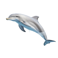 Delfin isoliert auf Hintergrund mit generativ ai png