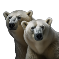 polar oso aislado en antecedentes con generativo ai png