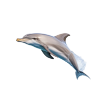 delfin isolerat på bakgrund med generativ ai png