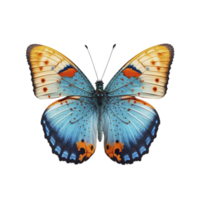 eben legen Aussicht von das Blau und Orange Schmetterling auf transparent Hintergrund, erstellt mit generativ ai png