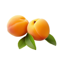 Apricots isolated on transparent background, created with png