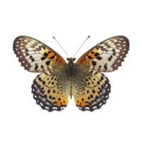 plano laico ver de el mariposa en transparente fondo, creado con generativo ai png