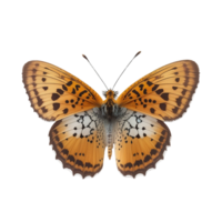 eben legen Aussicht von das Schmetterling auf transparent Hintergrund, erstellt mit generativ ai png