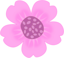 Beautiful whimsical deep pink flower. Doodle sun flower illustration. png