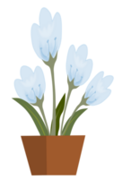 Beautiful whimsical blue flower in plant pot. Doodle tulip flower illustration. png