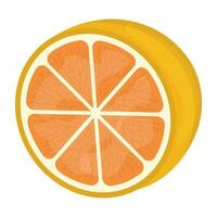 A fresh round shaped fruit with a  seed, grapefruit vector