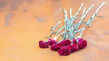 Red carnation flowers or peonies at the site of a fatal car accident. Tragedy and grief over the loss of a person. Memory. Paying tribute. Tragedy and sadness about the loss of a loved one. photo