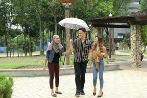 Young Asian Malay man woman outdoor green park walk talk discuss mingle under umbrella photo