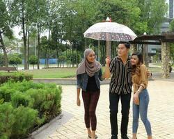 Young Asian Malay man woman outdoor green park walk talk discuss mingle under umbrella photo