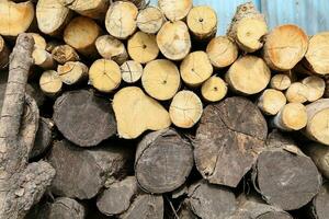 Wood long timber stack for charcoal factory background photo