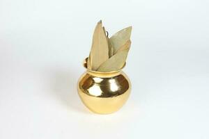 bay leaf spice in shiny metal pot photo