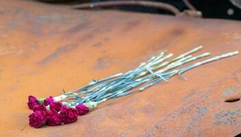 Red carnation flowers or peonies at the site of a fatal car accident. Tragedy and grief over the loss of a person. Memory. Paying tribute. Tragedy and sadness about the loss of a loved one. photo