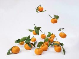 mandarin orange green leaf float fall drop on white background photo