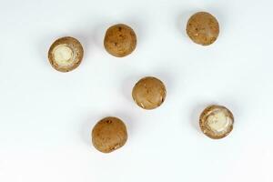 Brown button mushroom on white background top view photo