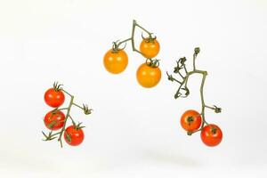 Fresh Colourful Tomato photo