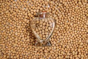 Soyabeans in a hart shape glass bottle on a bed of soya beans photo