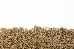 Cumin seeds dry whole powdered healthy aromatic spice jeera copy space border photo