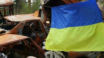 el nacional bandera de Ucrania en contra el antecedentes de restos y oxidado metal de destruido carros. guerra en Ucrania. un azul amarillo bandera ondulación en el viento debajo el Dom en un devastado por una bomba ciudad. video