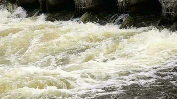 Umwelt Verschmutzung, Umwelt Katastrophe. erfüllen von verschmutzt Abwasser in das Fluss von Fabrik Beton Rohre. gefährlich Abfall Wasser. Umwelt Schutz. Wasser Verschmutzung. video