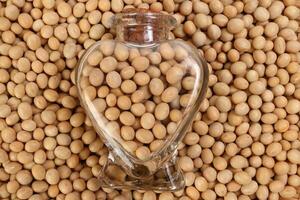 Soyabeans in a hart shape glass bottle on a bed of soya beans photo