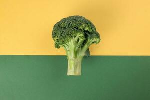 whole green broccoli closeup on yellow green background photo