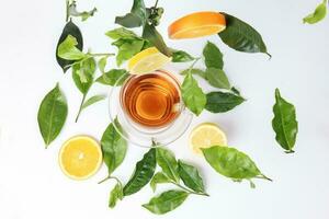 different types of fresh raw green tea leaf flower bud dropping floating elevated lemon orange slice over transparent glass teacup saucer liquid tea on white background top view photo