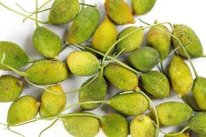 Spiny gourd green fruit vegetable kakrol on white background photo