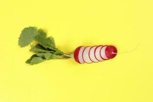 Small red radish on yellow background photo